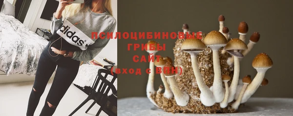 герыч Осташков