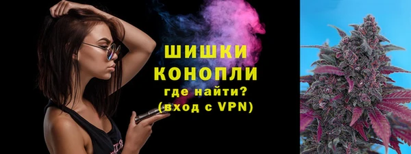 PSILOCYBIN Нягань