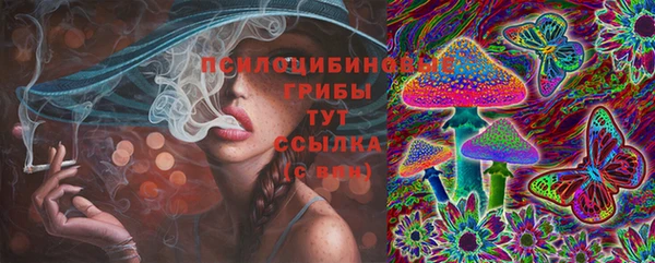 соль курить ск Осинники
