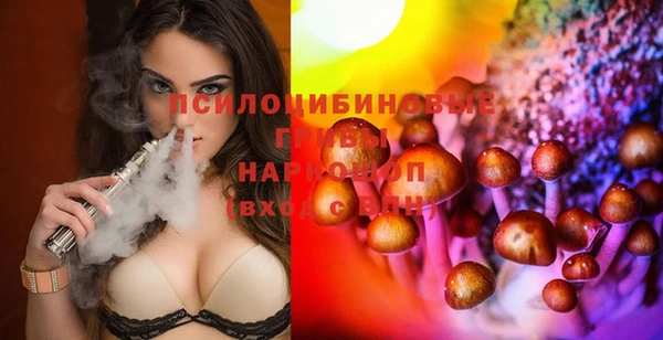 PSILOCYBIN Нягань