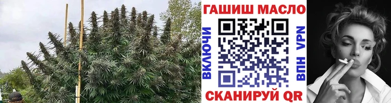 наркота  OMG маркетплейс  Дистиллят ТГК THC oil  Ярцево 