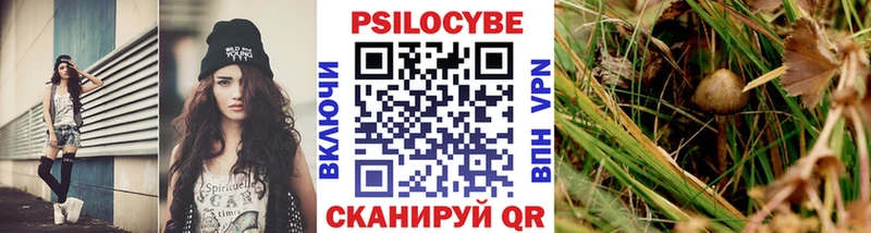 Псилоцибиновые грибы Psilocybine cubensis  где купить наркоту  Ярцево 