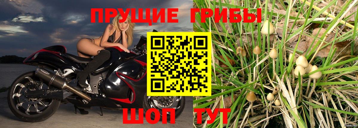 Псилоцибиновые грибы MAGIC MUSHROOMS  закладки  Псилоцибиновые грибы Psilocybine cubensis  Ярцево  Вход с VPN 