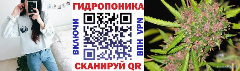 площадка формула  магазин    Ярцево  Канабис конопля 